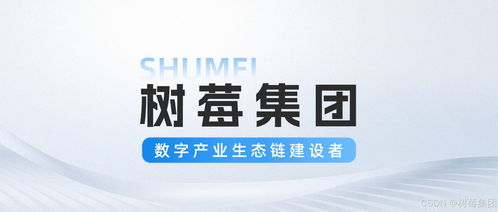 從ai到大數(shù)據(jù),數(shù)字技術服務平臺全棧賦能企業(yè)升級