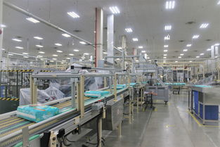 幫寶適蘿崗工廠五周年 聚合全球優(yōu)勢(shì)資源,更好服務(wù)中國(guó)家庭